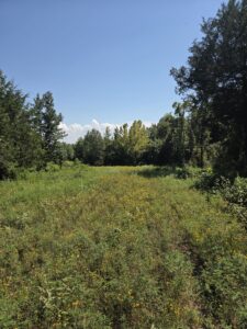 Property photo for land for sale in McCurtain County Oklahoma