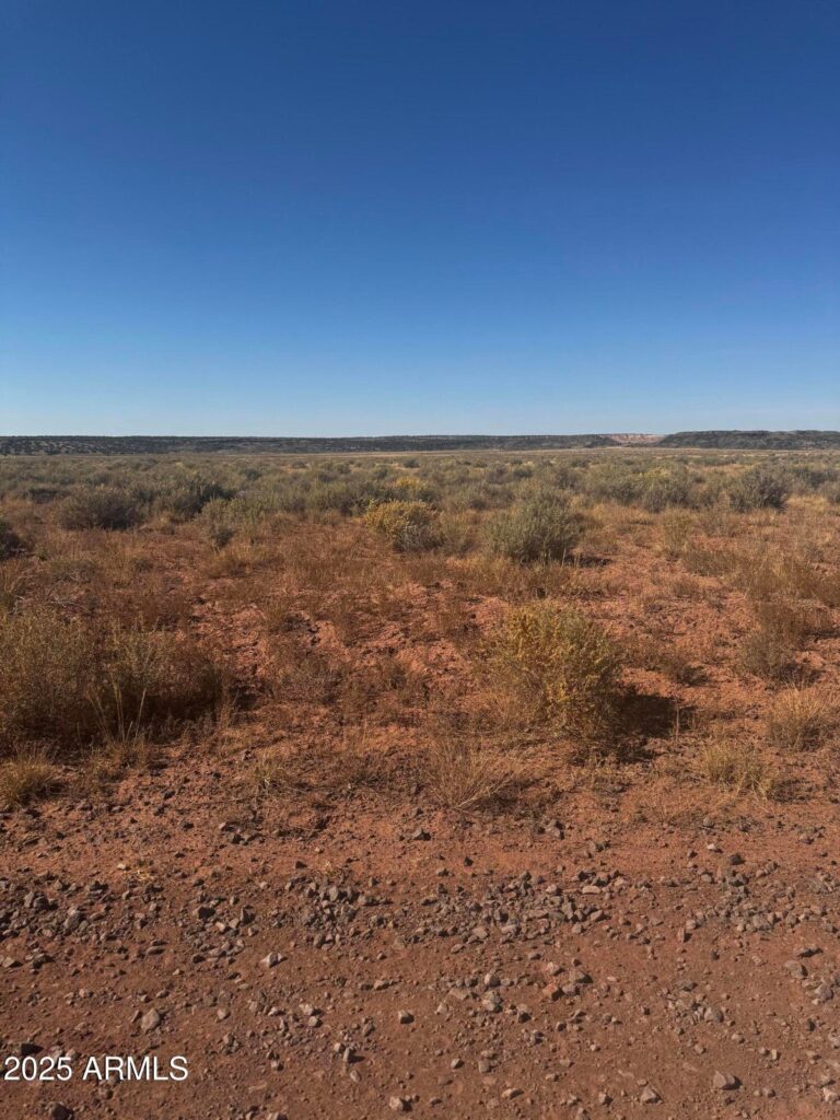 Property photo for land for sale in Apache County Arizona