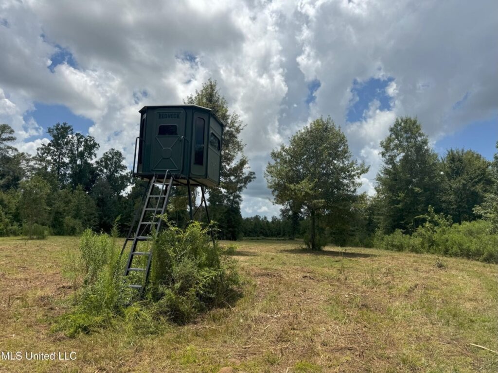 Property photo for land for sale in Lincoln County Mississippi