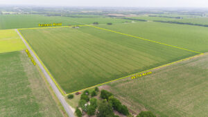 Property photo for land for sale in Caldwell County Texas