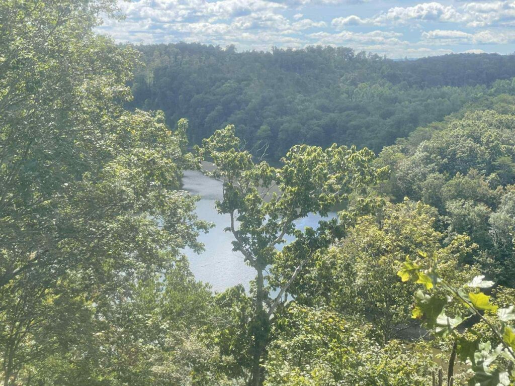 Property photo for land for sale in Clinton County Kentucky