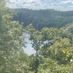 Property photo for land for sale in Clinton County Kentucky