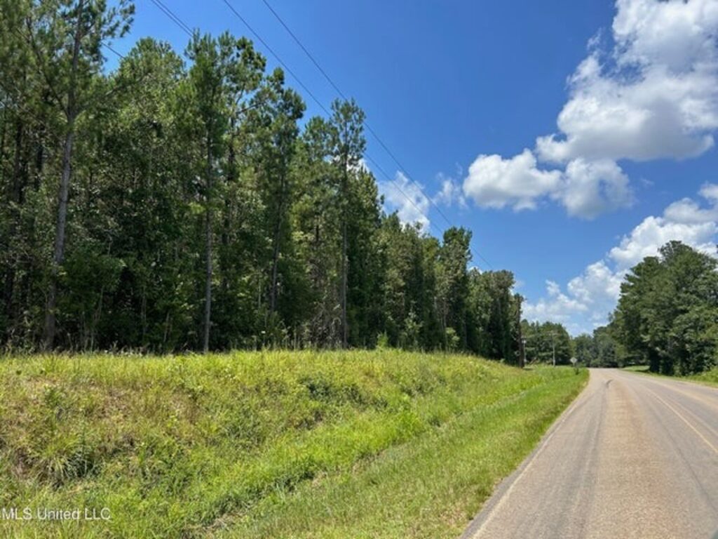 Property photo for land for sale in Pike County Mississippi