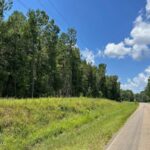 Property photo for land for sale in Pike County Mississippi
