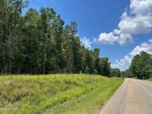 Property photo for land for sale in Pike County Mississippi