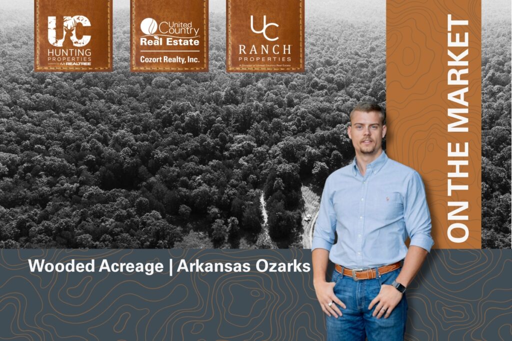 Property photo for land for sale in Baxter County Arkansas