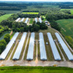 Property photo for land for sale in McLean County Kentucky