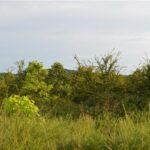 Property photo for land for sale in Washington County Arkansas