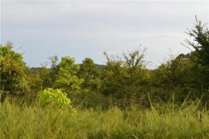 Property photo for land for sale in Washington County Arkansas