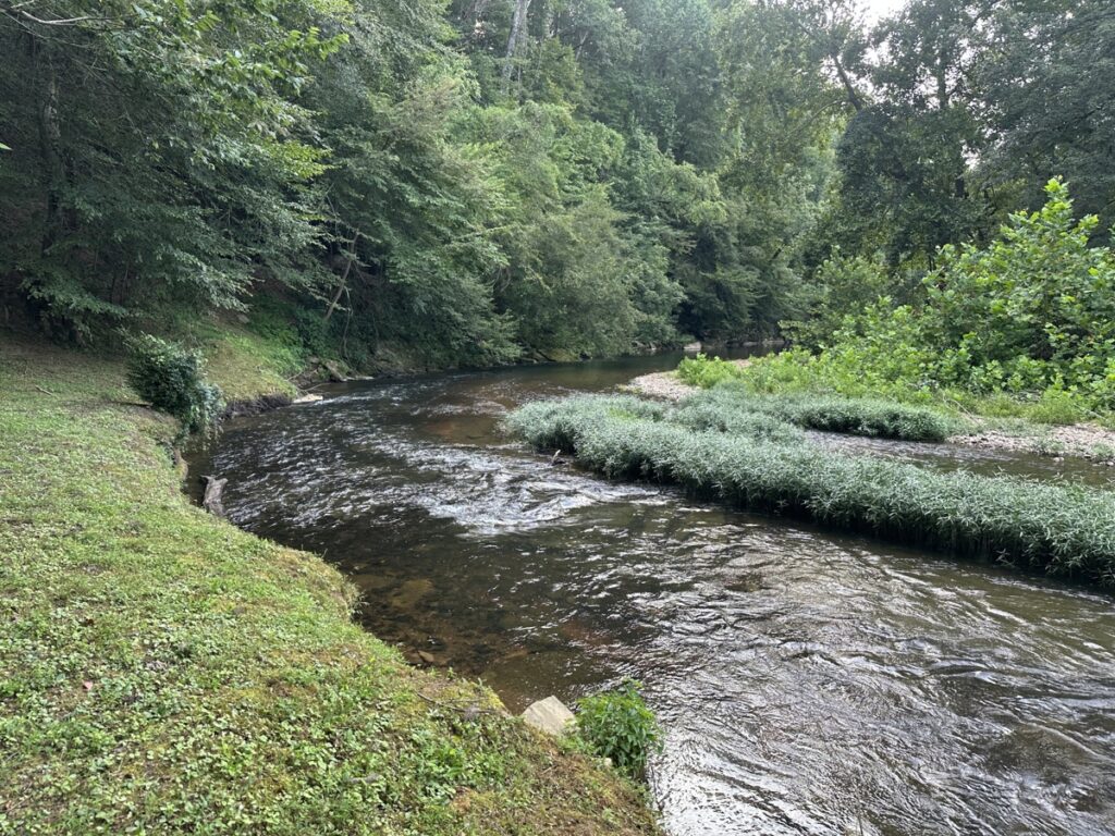 Property photo for land for sale in Lewis County Tennessee