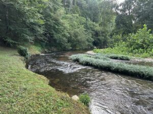 Property photo for land for sale in Lewis County Tennessee