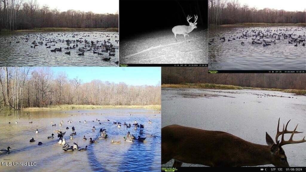 Property photo for land for sale in Jefferson County Mississippi