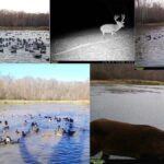 Property photo for land for sale in Jefferson County Mississippi