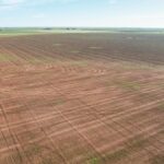 Property photo for land for sale in Castro County Texas