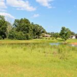 Property photo for land for sale in Pike County Mississippi
