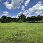 Property photo for land for sale in Pike County Alabama