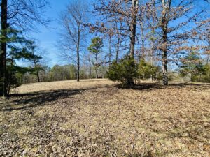 Property photo for land for sale in Izard County Arkansas