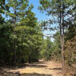 Property photo for land for sale in Pushmataha County Oklahoma