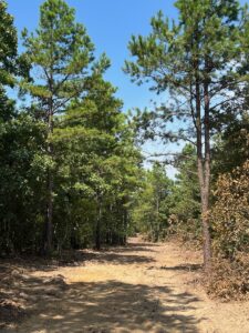 Property photo for land for sale in Pushmataha County Oklahoma