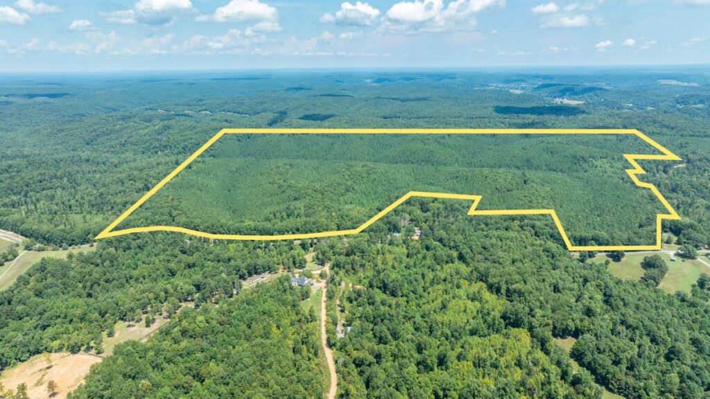 Property photo for land for sale in Lewis County Tennessee