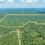 Property photo for land for sale in Lewis County Tennessee