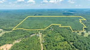 Property photo for land for sale in Lewis County Tennessee