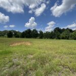 Property photo for land for sale in Pike County Alabama