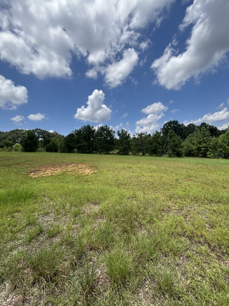 Property photo for land for sale in Pike County Alabama