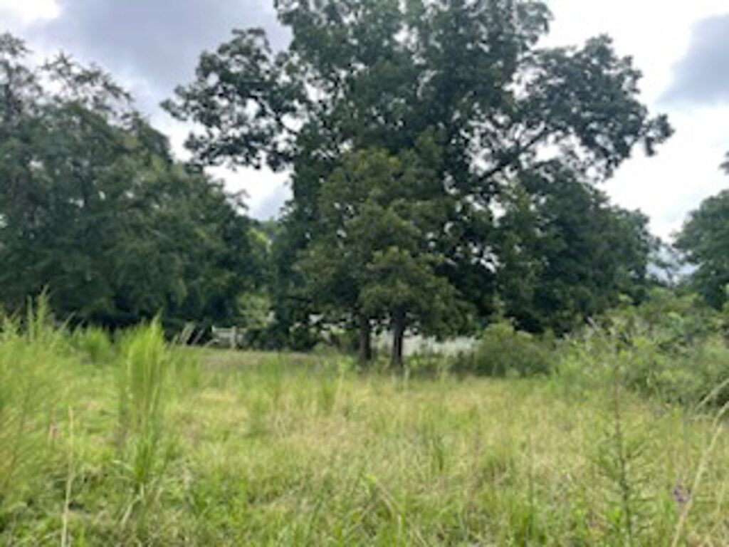 Property photo for land for sale in Chesterfield County South Carolina