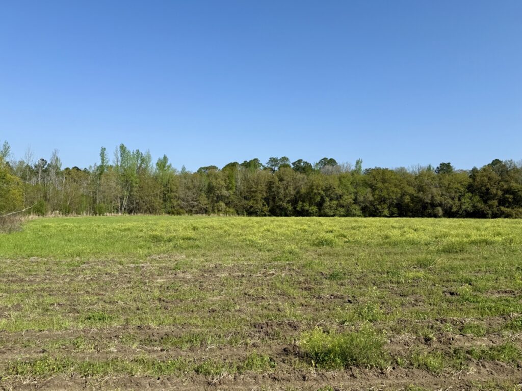 Property photo for land for sale in Covington County Alabama