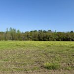 Property photo for land for sale in Covington County Alabama