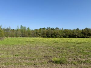 Property photo for land for sale in Covington County Alabama