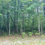 Property photo for land for sale in Cumberland County Tennessee