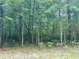 Property photo for land for sale in Cumberland County Tennessee