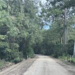Property photo for land for sale in Bulloch County Georgia