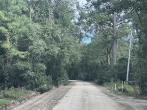 Property photo for land for sale in Bulloch County Georgia