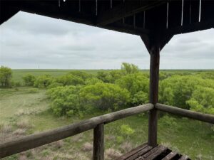 Property photo for land for sale in Hardeman County Texas