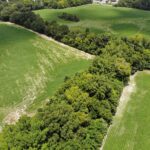 Property photo for land for sale in Grady County Georgia