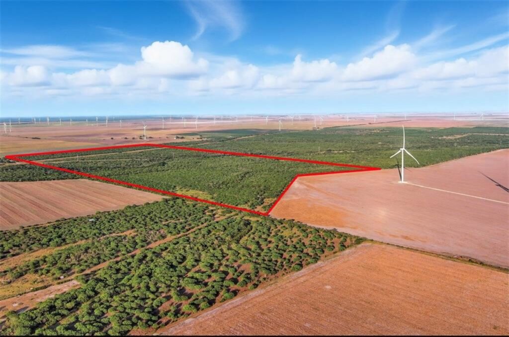 Property photo for land for sale in San Patricio County Texas