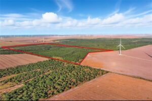 Property photo for land for sale in San Patricio County Texas