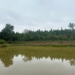 Property photo for land for sale in Lunenburg County Virginia