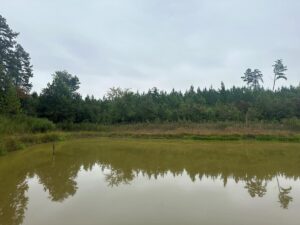 Property photo for land for sale in Lunenburg County Virginia