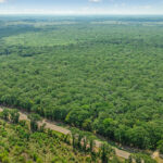 Property photo for land for sale in Red River County Texas