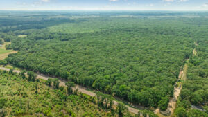 Property photo for land for sale in Red River County Texas