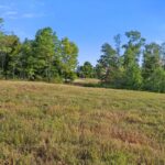 Property photo for land for sale in Lewis County Tennessee
