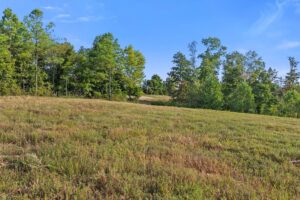 Property photo for land for sale in Lewis County Tennessee
