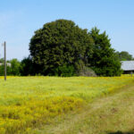 Property photo for land for sale in Lincoln County Oklahoma