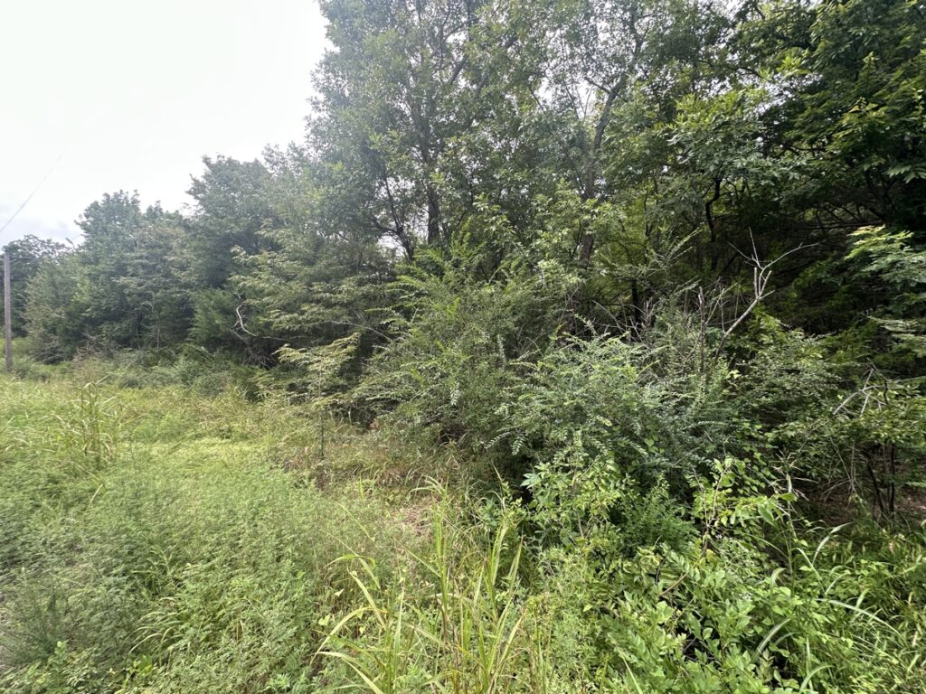 Property photo for land for sale in Pushmataha County Oklahoma