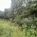 Property photo for land for sale in Pushmataha County Oklahoma