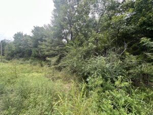 Property photo for land for sale in Pushmataha County Oklahoma